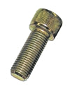 Allen Bolts (Socket Head Cap Screws)