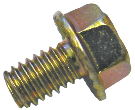 Serrated Flange Bolts