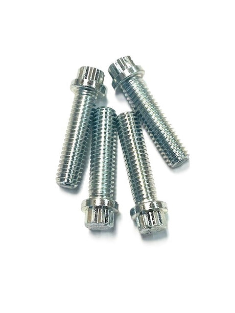 12 point bead lock bolts.
